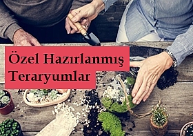 zel Tasarm iekler